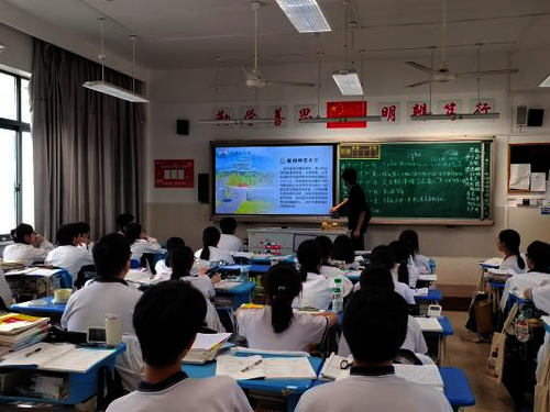 暑期社会实践11